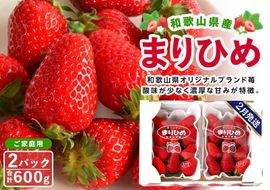 【ご家庭用（簡易包装）】和歌山県産まりひめ 1箱（2パック入り）【2026年2月お届け】［MG60］ 303446_AB96083