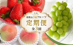 【全3回】和歌山厳選フルーツ定期便（ いちご 桃 シャインマスカット ）［MG16］ 303446_AB96106