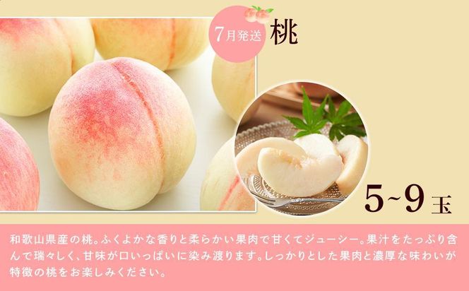 【全3回】和歌山厳選フルーツ定期便（ いちご 桃 シャインマスカット ）［MG16］ 303446_AB96106