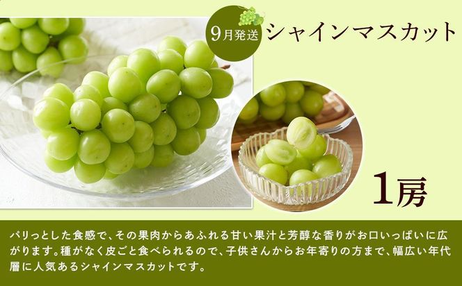 【全3回】和歌山厳選フルーツ定期便（ いちご 桃 シャインマスカット ）［MG16］ 303446_AB96106