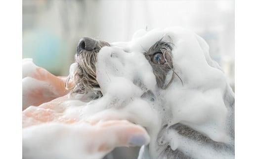 UONLY　ペットサロンチケット　1,000円×3枚【 ペットサロン 利用券 ウォンリー 大阪府 門真市 】 272230_CS001