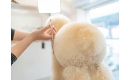 UONLY　ペットサロンチケット　1,000円×3枚【 ペットサロン 利用券 ウォンリー 大阪府 門真市 】 272230_CS001