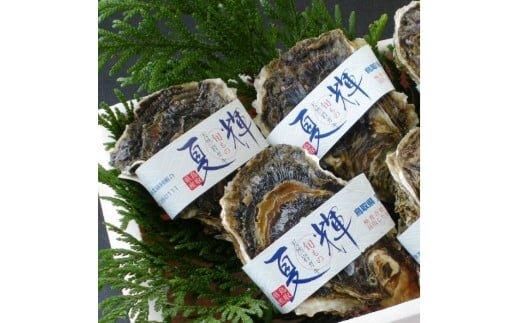 624.鳥取県産 天然岩ガキ『夏輝』ブランドタグ付き 3個(400g以上×3個) 牡蠣 カキ※着日指定不可※2025年6月上旬〜8月中旬頃に順次発送予定 313726
