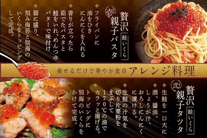 いくら ホタテ 海鮮 セット ！ 北海道 中粒ホタテ 500g（約35粒） & いくら 醤油漬け 250g（野付漁業協同組合）