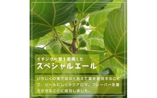616.Fig　Leaves　Beer　３本セット※離島への配送不可 313726_AY005