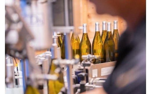 684.辛口赤ワイン『富士の夢2017大山』【化粧箱入り】　※着日指定不可　※離島への配送不可 313726_AY011