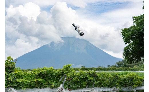 685.辛口赤ワイン「富士の夢２０１６郷」【化粧箱入り】　※着日指定不可　※離島への配送不可 313726_AY012