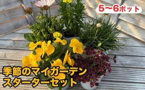 809.季節のマイガーデン・スターターセット　※離島への配送不可 313726_BV001