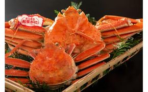 鳥取県産 ボイル夫婦がに【中村商店】 312011_AC004
