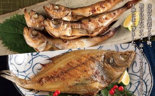 山陰のおすすめ干物セット【中村商店】 312011_AC007
