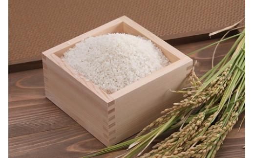 【先行予約】鳥取県産特別栽培米こしひかり ( 5kg )【2025年9月上旬稲刈り後出荷】 312011_AU001