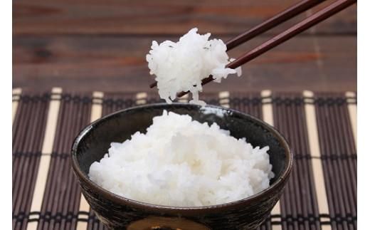 【先行予約】鳥取県産特別栽培米こしひかり ( 5kg )【2025年9月上旬稲刈り後出荷】 312011_AU001