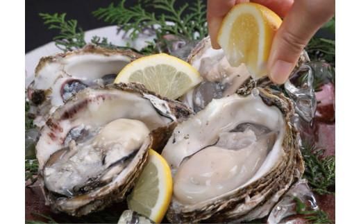 鳥取賀露港 天然岩がきセット【かねまさ・浜下商店】 312011_AZ001