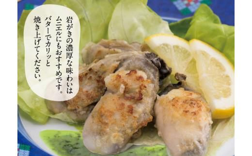 鳥取賀露港 天然岩がきセット【かねまさ・浜下商店】 312011_AZ001