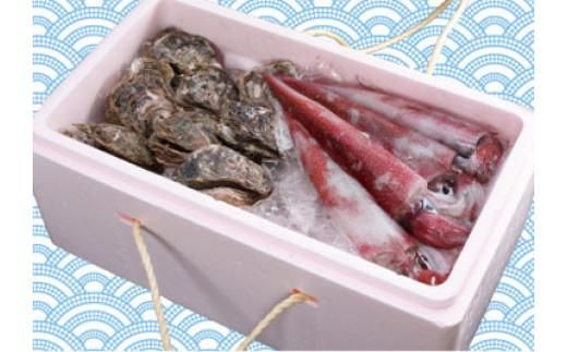 鳥取賀露港 天然白いか・天然岩がきセット【かねまさ・浜下商店】 312011_AZ003