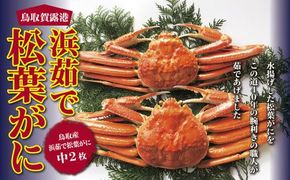 鳥取賀露港 浜茹で松葉がに【かねまさ・浜下商店】 312011_AZ004