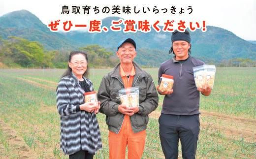 橋本さんちの砂丘らっきょう甘酢漬け 800g 312011_BL002