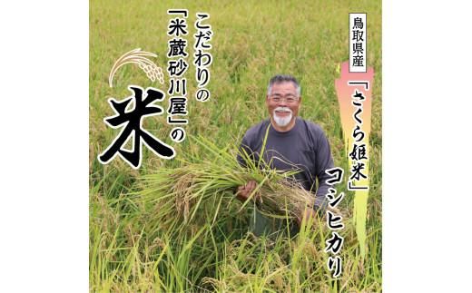 【2026年9月下旬～発送予定】鹿野のさくら姫米 6kg ( 3kg×2袋 ) 312011_BS003