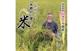 【2026年9月下旬～発送予定】鹿野のさくら姫米 3kg 312011_BS005