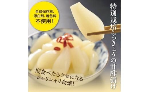 特別栽培らっきょうの甘酢漬（8袋セット） 312011_BT003