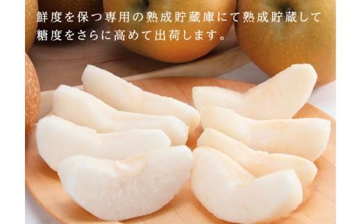 新興梨・王秋梨詰め合わせ 5kg箱 (玉数は合わせて約6～12玉) 312011_BU002