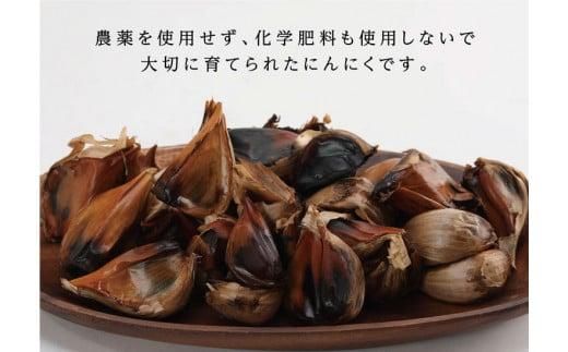 黒にんにく 312011_BV002