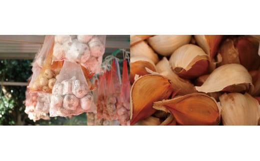 黒にんにく 312011_BV002