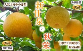 新甘泉・秋栄セット 秀品 2.5kg箱【スクスク農場】 312011_BW002