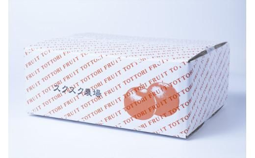 秋甘泉・夏そよかセット 秀品 2.5kg箱【スクスク農場】 312011_BW003