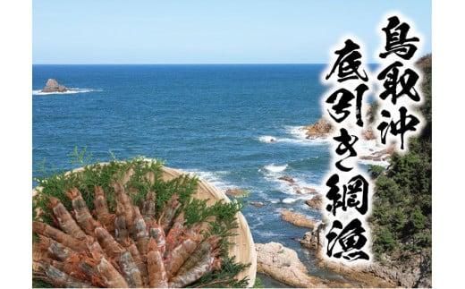 鳥取産 冷凍モサエビ 312011_CB001