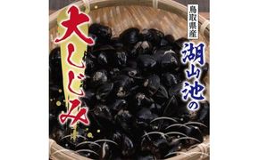 湖山池の大しじみ 312011_CB002