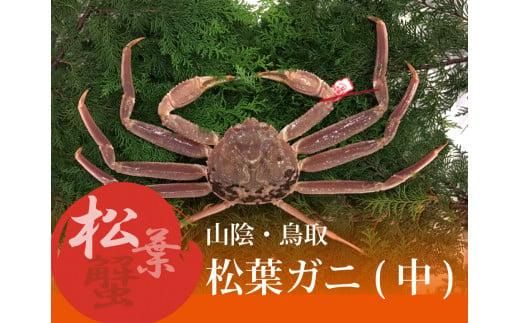 y挧szIƂƂ菼tKj ()yRXz 312011_CE001