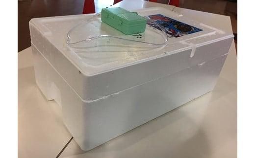 特選とっとり松葉ガニ「五輝星(いつきぼし)」【山根商店】 312011_CE002