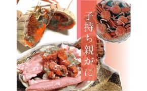 特選とっとりセコガ二 (親ガニ)10枚セット【山根商店】 312011_CE003