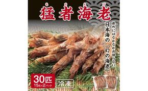 猛者海老 15匹×2パックセット【山根商店】 312011_CE005
