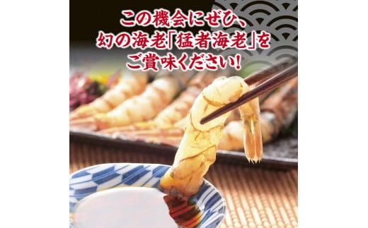 猛者海老 15匹×2パックセット【山根商店】 312011_CE005