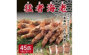 猛者海老 15匹×3パックセット【山根商店】 312011_CE006