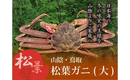 y挧szIƂƂ菼tKj ()yRXz 312011_CE010