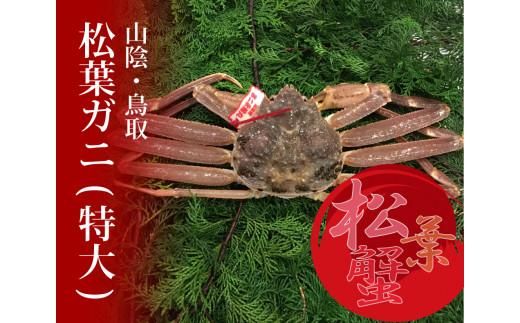 y挧szIƂƂ菼tKj ()yRXz 312011_CE011