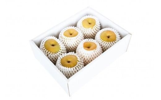 新甘泉 秀品 3キロ（砂丘のなし屋さん） 312011_CF006