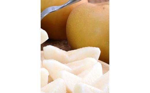 新甘泉 訳あり 5キロ（砂丘のなし屋さん） 312011_CF007