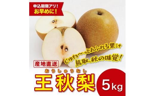 y挧szH 5Lyc_z 312011_CG004