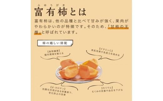 富有柿 5kg箱 (L～2Lサイズ) 312011_CQ001
