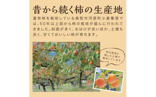 富有柿 5kg箱 (L～2Lサイズ) 312011_CQ001
