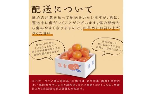 富有柿 5kg箱 (L～2Lサイズ) 312011_CQ001