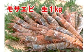 【魚倉】モサエビ 生1kg (中～大サイズ) 312011_DP001