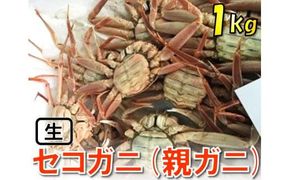 【魚倉】活お任せセコガニ 1kgセット 312011_DP005