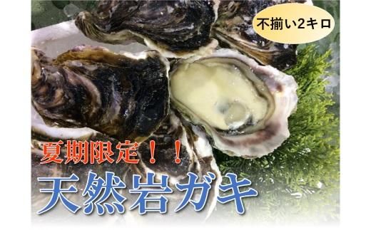 【魚倉】不揃い 天然岩ガキ 2kgセット 312011_DP008