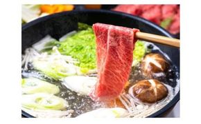 鳥取和牛モモ しゃぶしゃぶ用 500g 312011_DU005