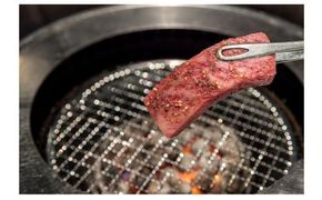 鳥取和牛クラシタ焼肉用 500g 312011_DU008
